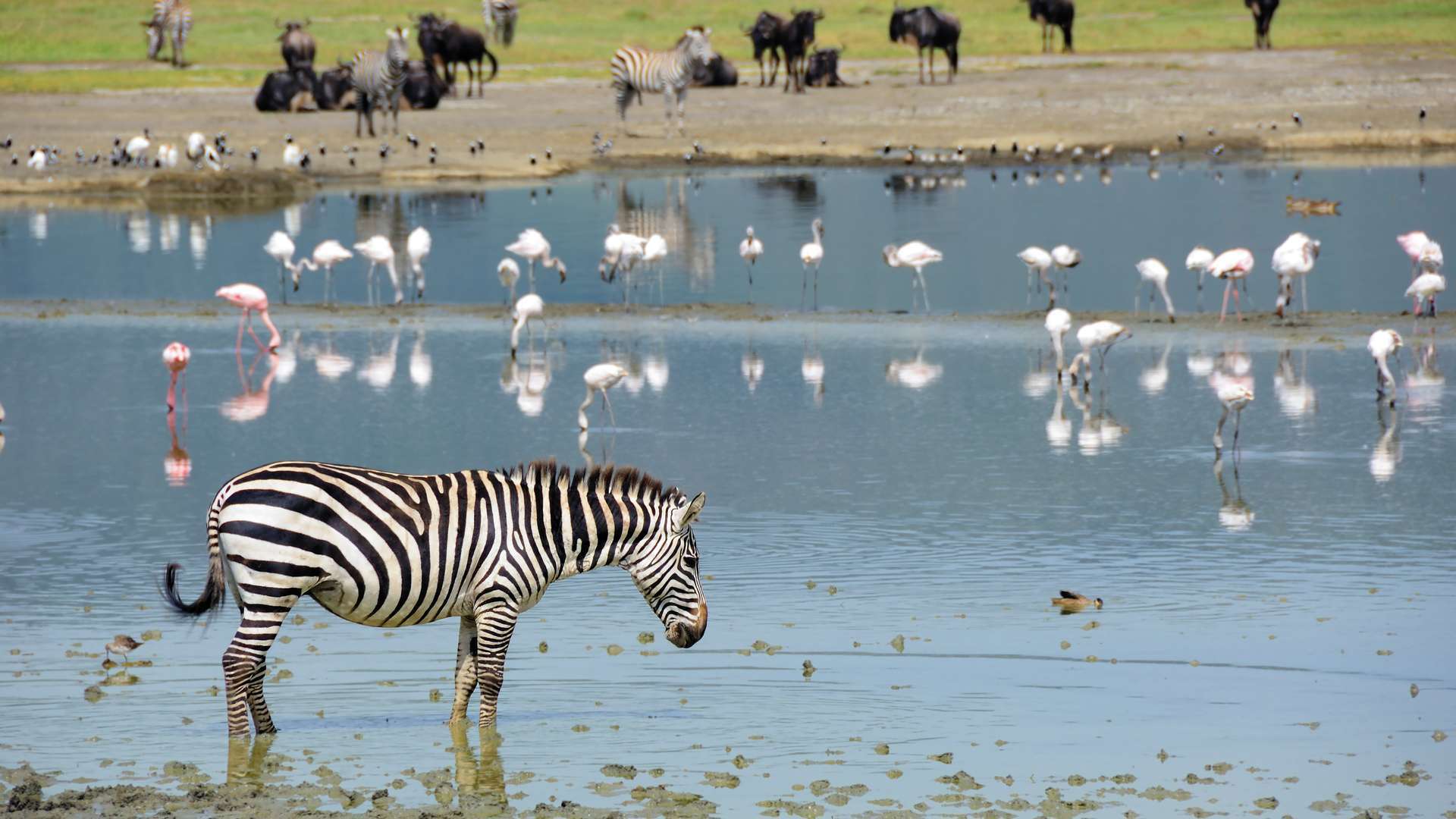 Lake Magadi Ngorongoro