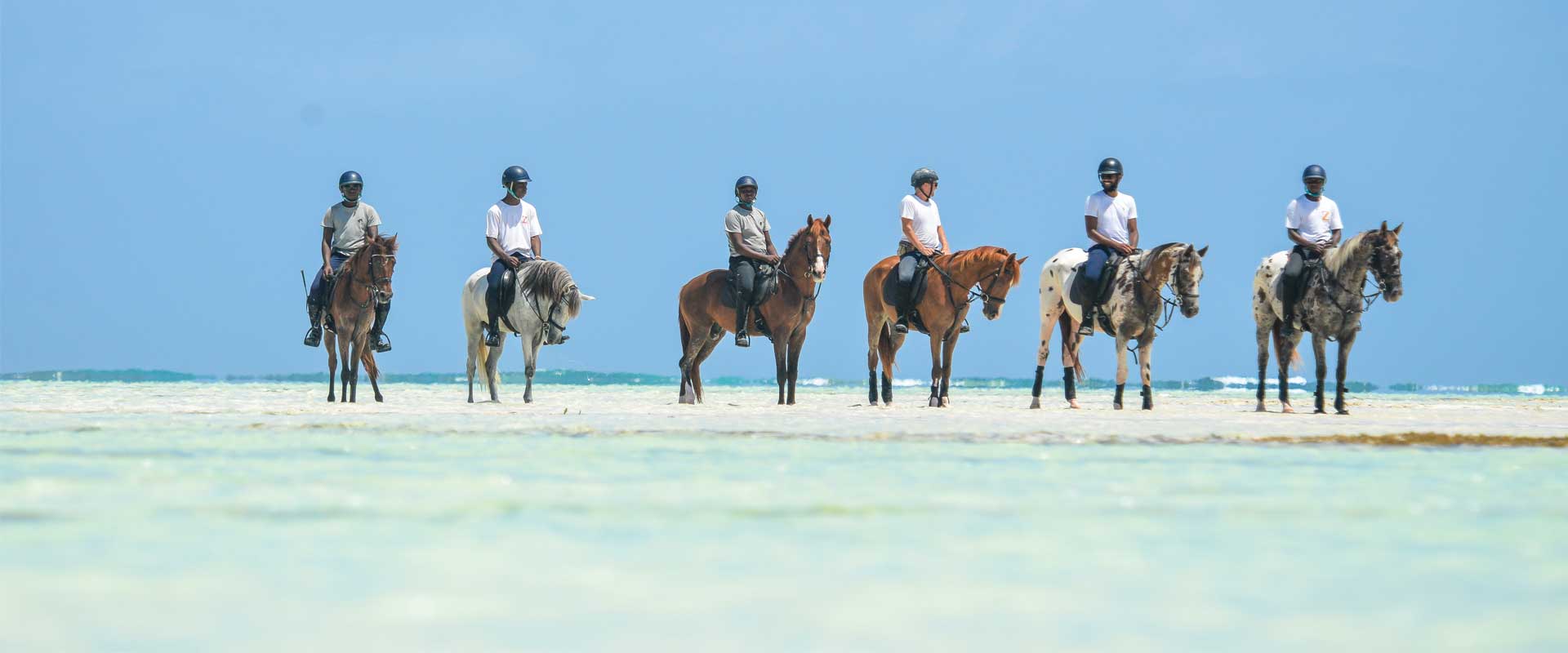 Things to do in Zanzibar
