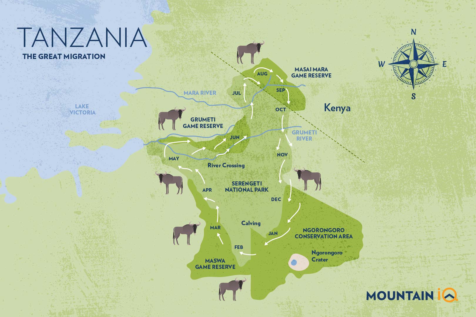 The Great wildebeest migration