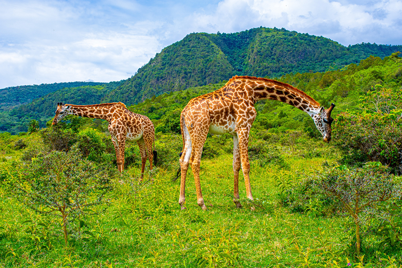 Arusha National Park