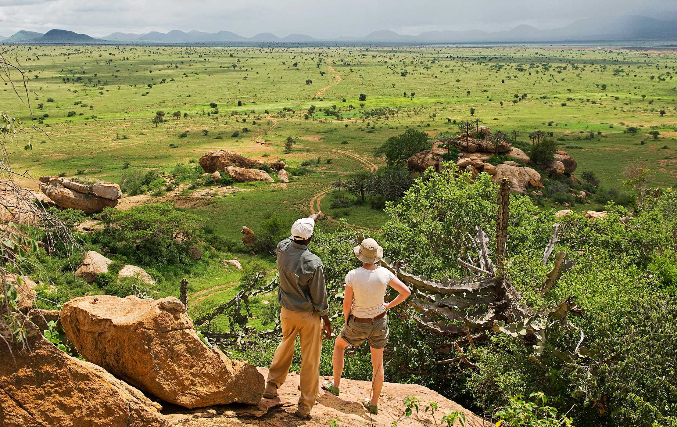 Walking Safari