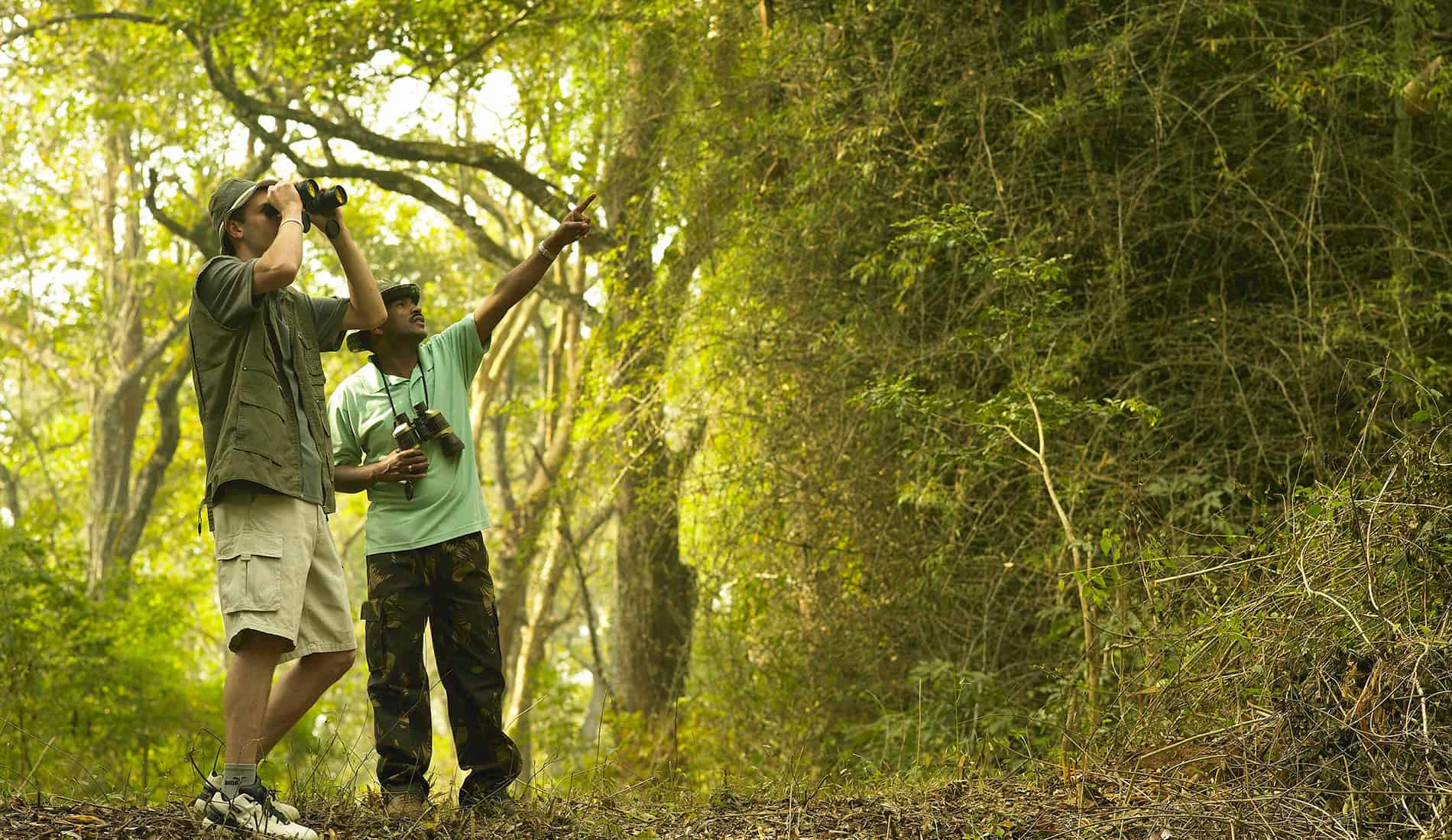 Bird watching Tarangire national park.