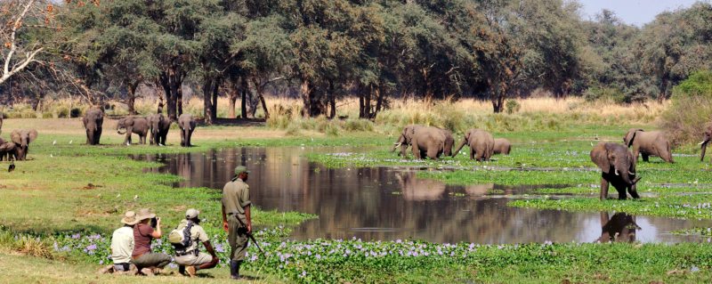 Walking Safari Lake Manyara National Park.