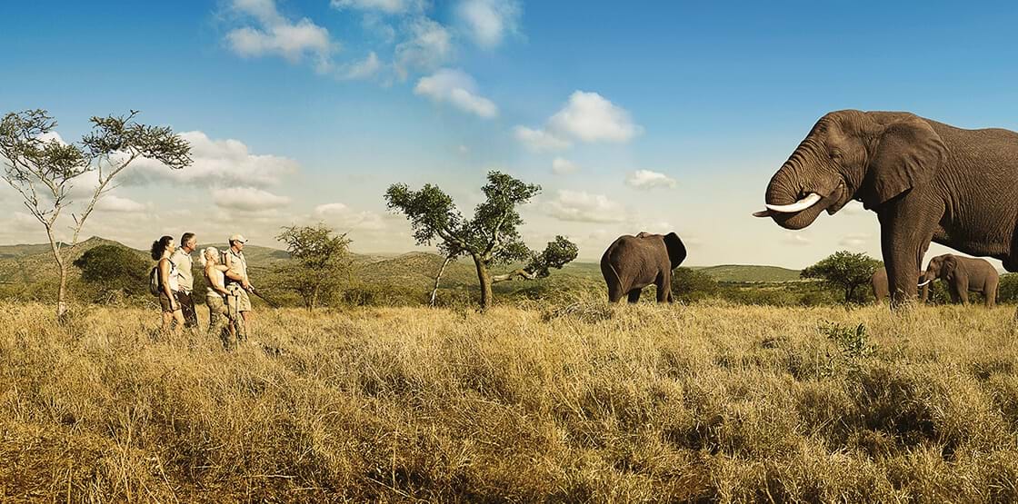 Walking Safari Tarangire National park
