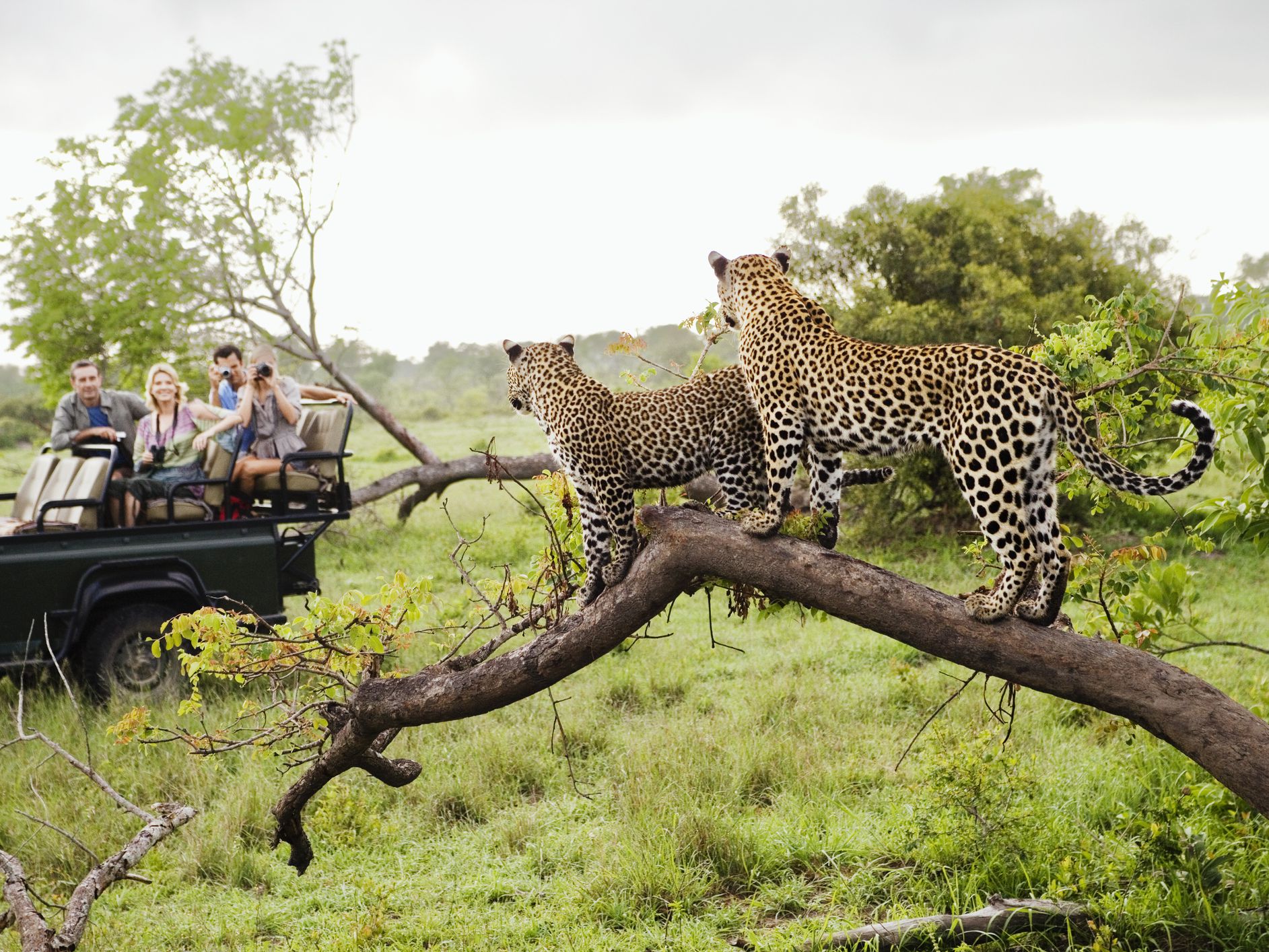 Photographic Safari Tanzania