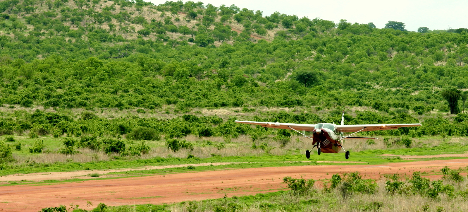 Costs of Charter Flights