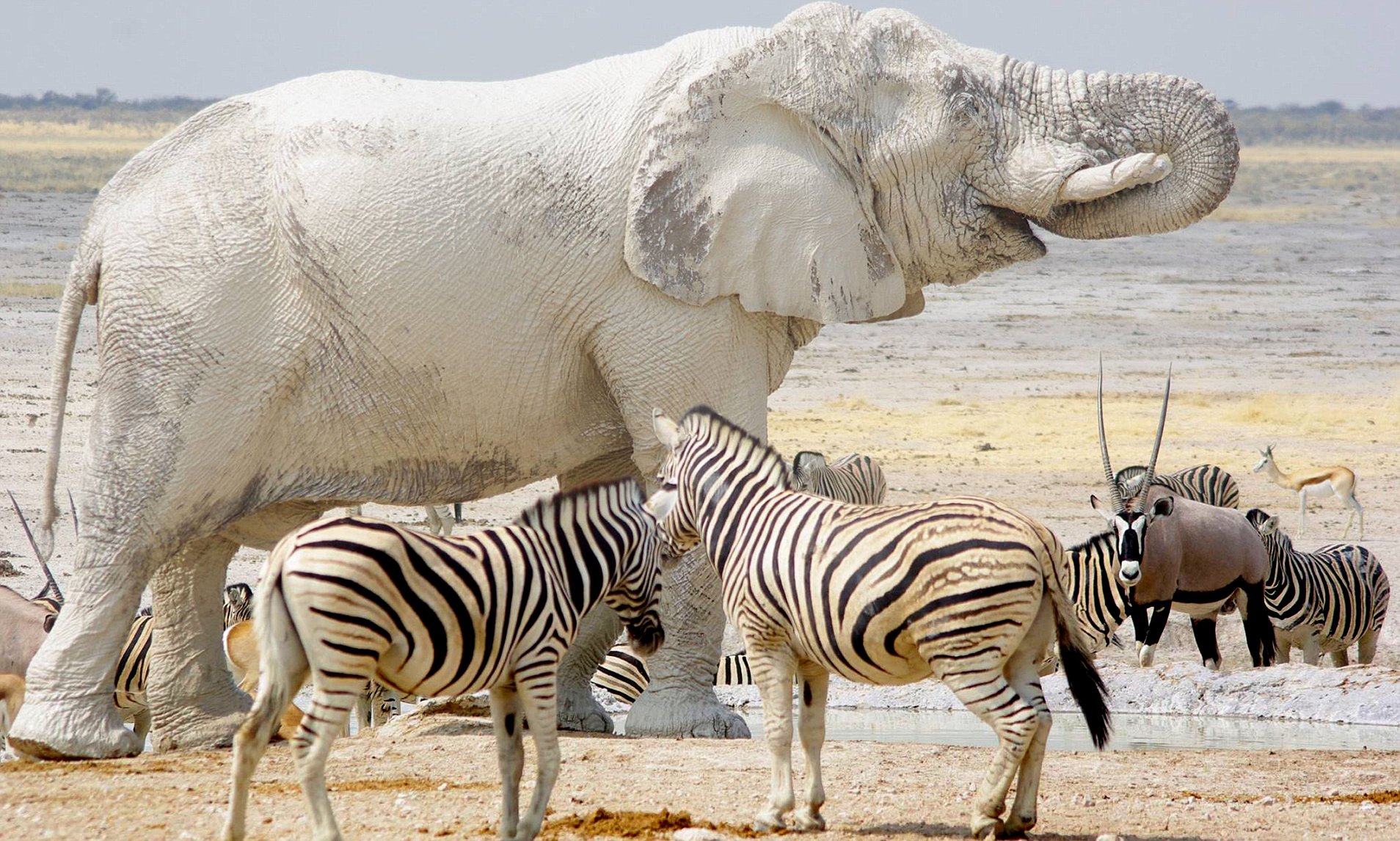 Photographic Safari Tanzania
