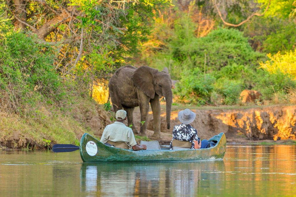Canoeing Safari Lake Manyara National Park