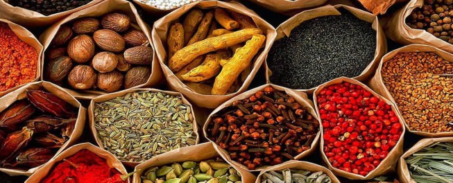 Things to do in Zanzibar