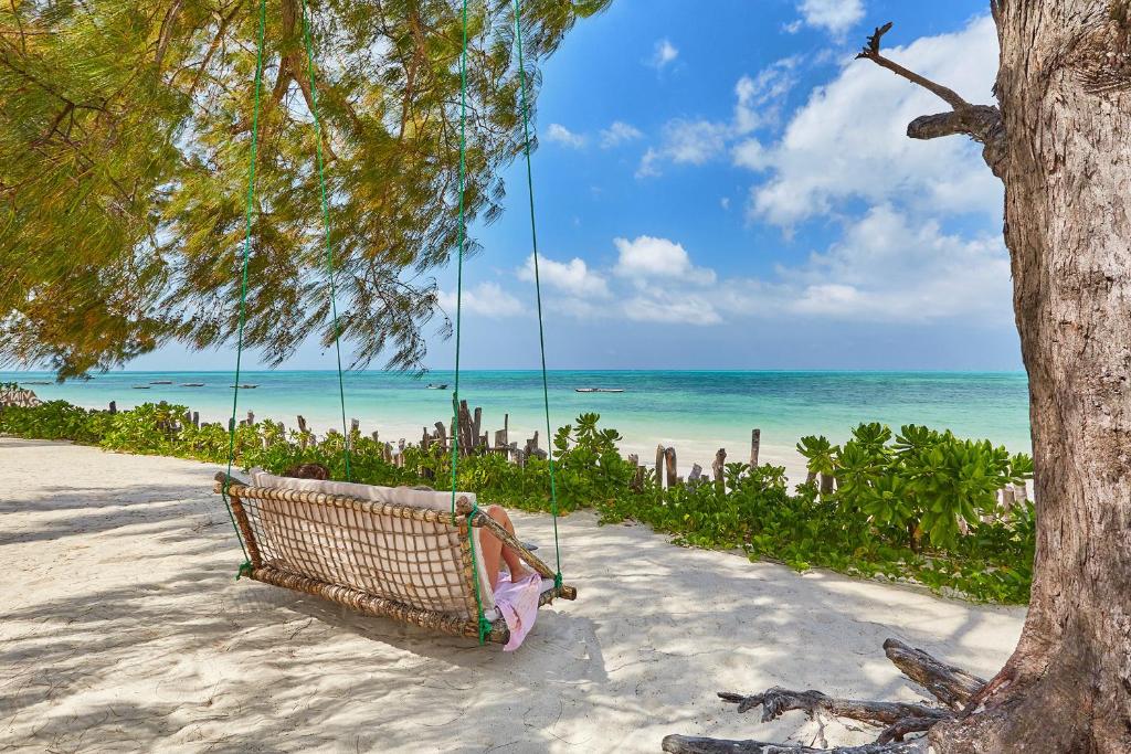 A tree bench swing at the Belvedere Resort in Zanzibar.