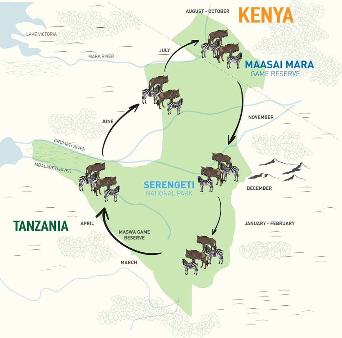 The Great wildebeest migration
