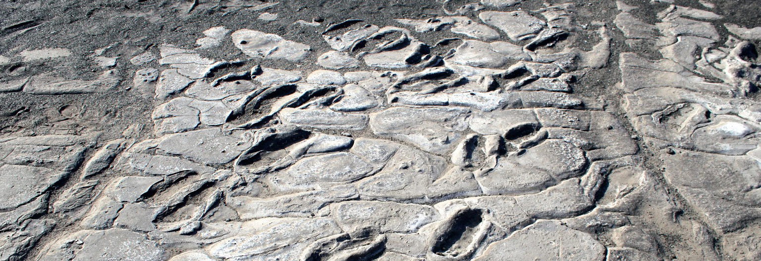 Laetoli footprints
