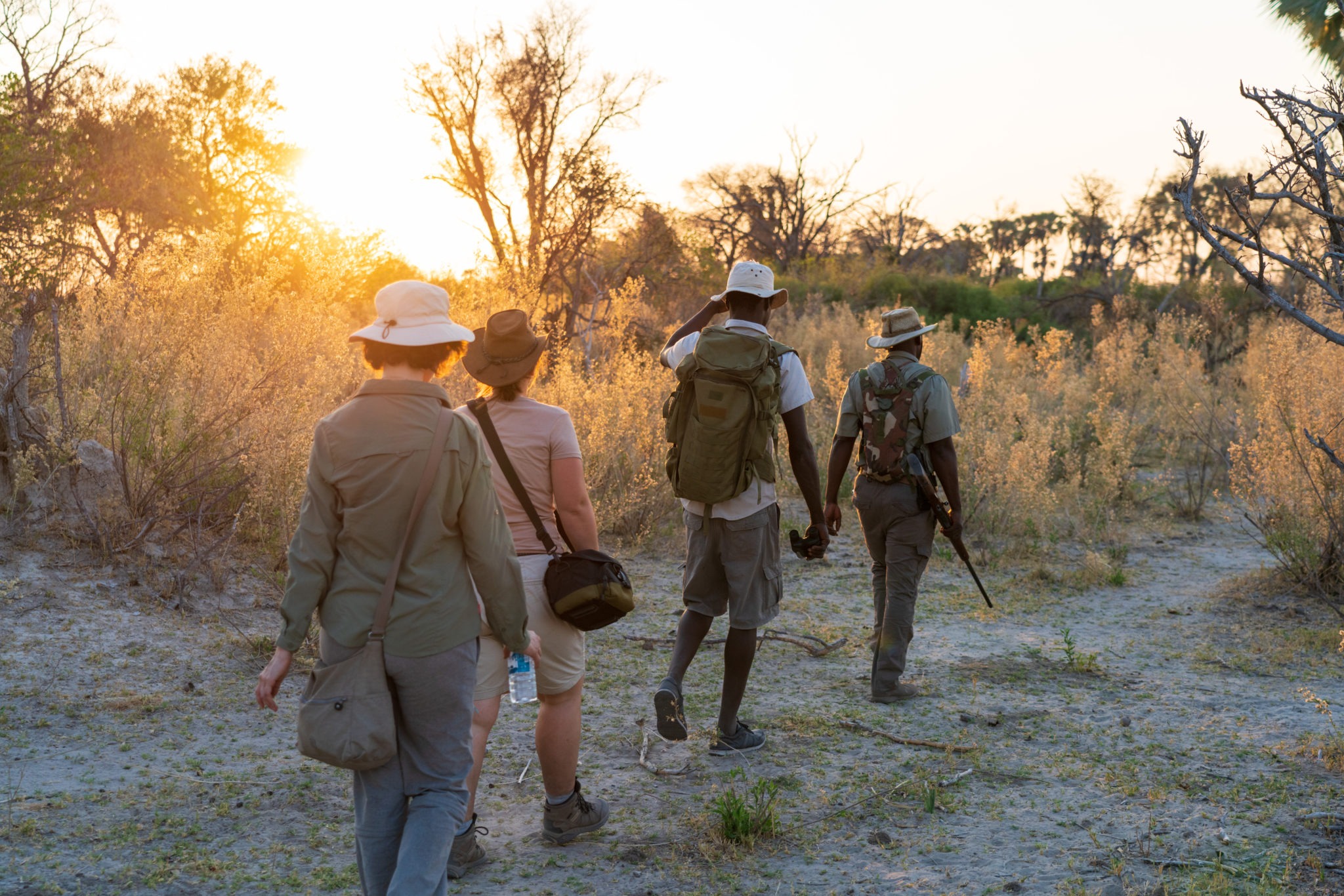 Walking Safari