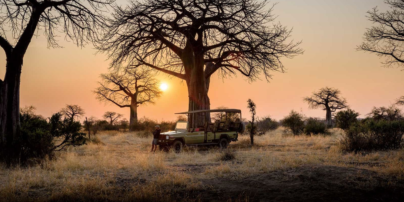 Nyerere National Park