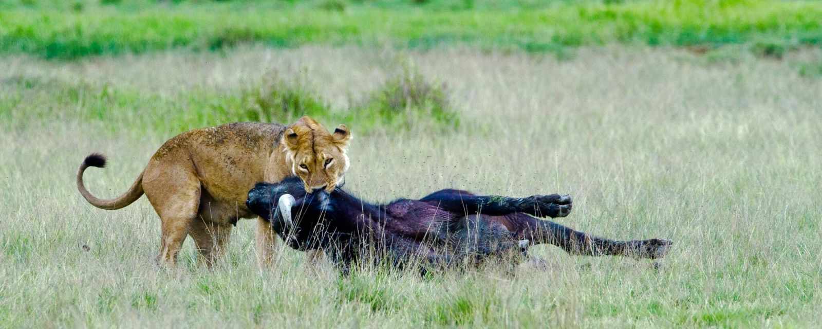 Weather and Climate Ngorongoro