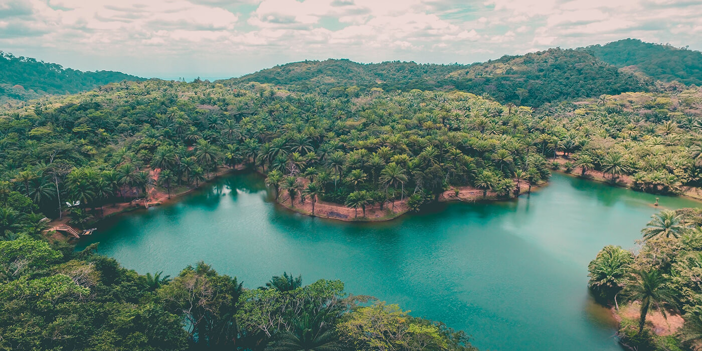 Magoroto Forest Magoroto Forest