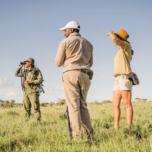 Ngorongoro nature walking