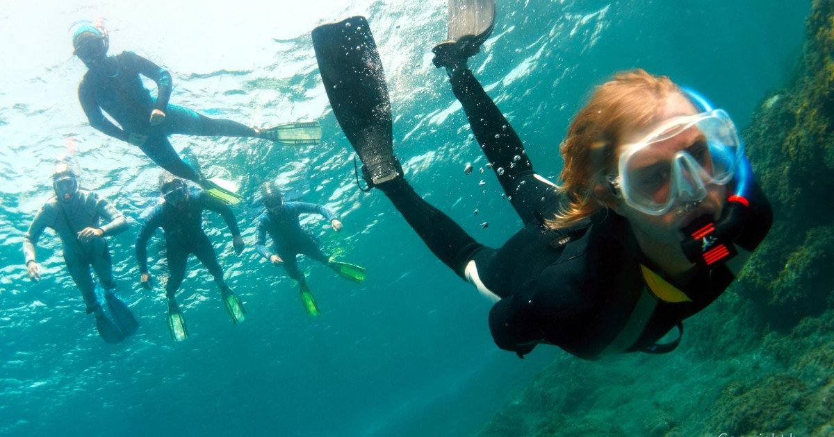 Things to do in Zanzibar