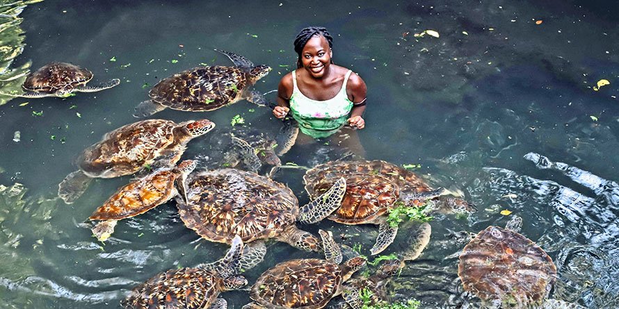 Things to do in Zanzibar