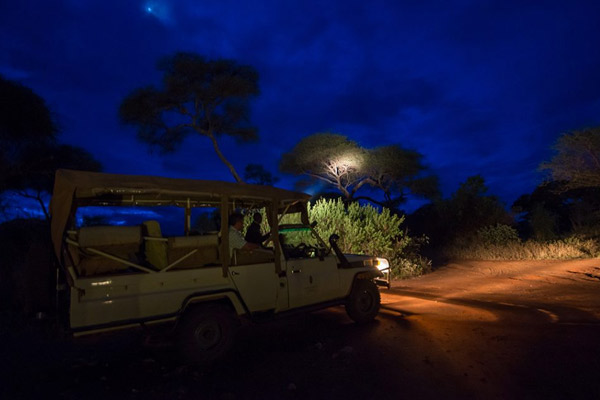Night game drive Tarangire National Park