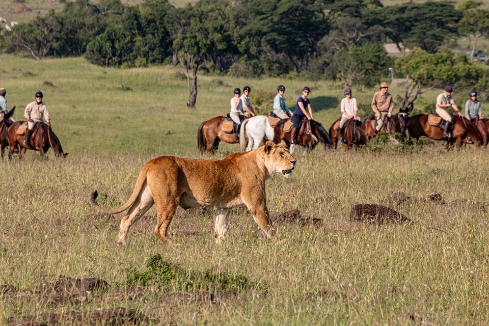 Horseback Safari Kilimanjaro National Park