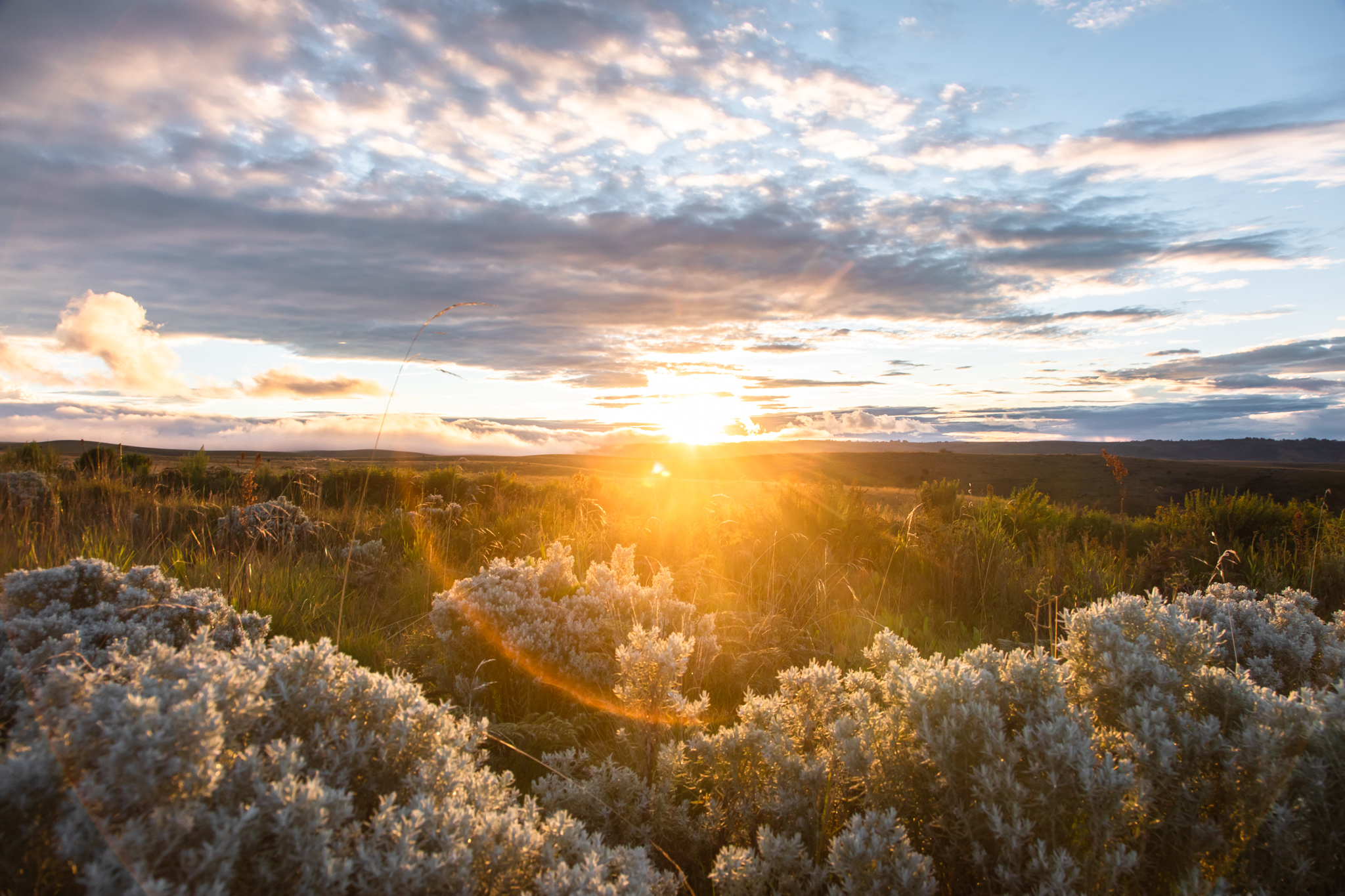 Weather and Climate at Kitulo National Park