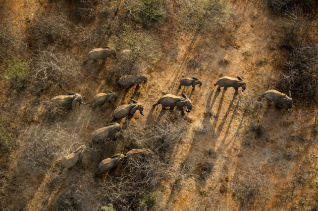 Tarangire National Park