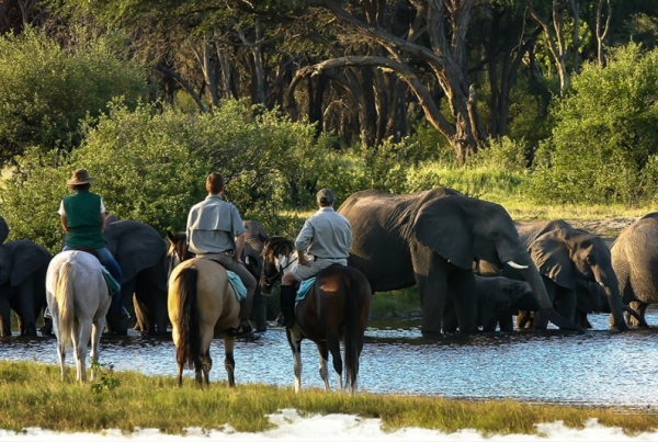 Horseback Safari Arusha National Park