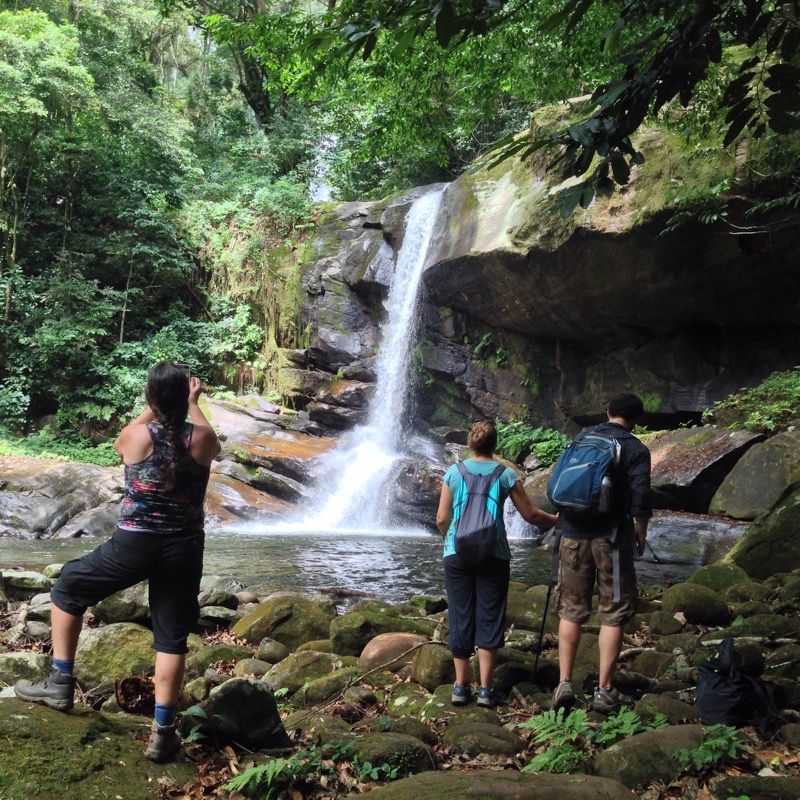 Best Time to Hike the Udzungwa Mountains
