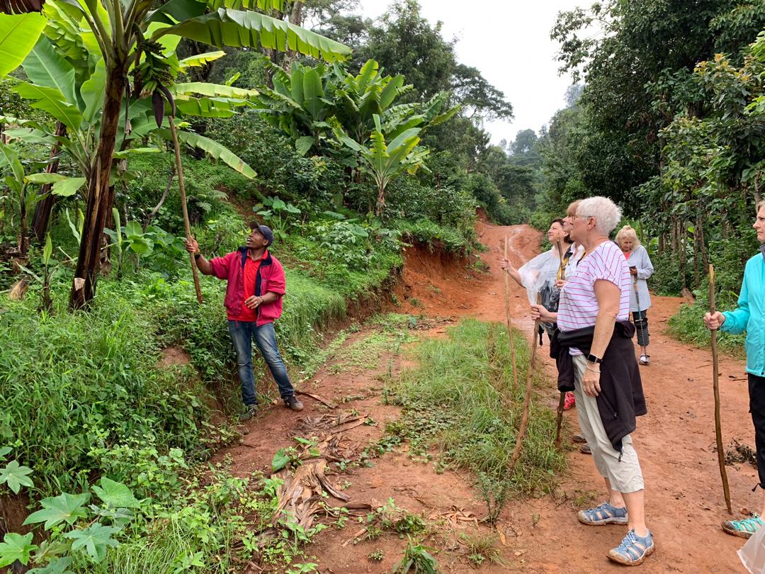 Forest walking Lake Victoria